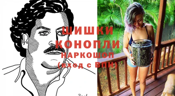 дмт Абаза