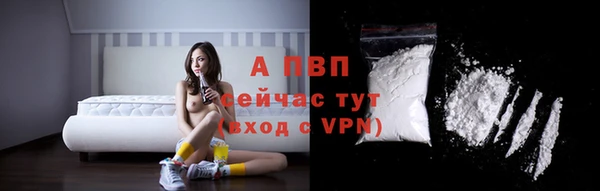 дмт Абаза
