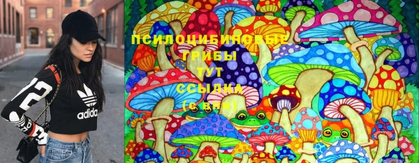 дмт Абаза